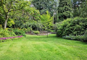 Optimiser l'expérience du jardin à Barenton-sur-Serre